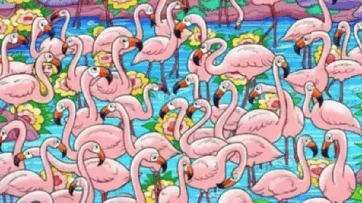 can-you-spot-the-mischievous-girl-amid-flamingos-in-under-8-seconds